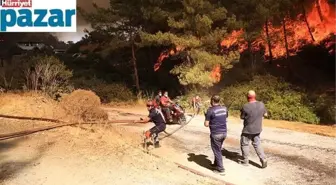 Ormanın kahramanları hikâyelerini anlattı: Alevlerin büyüklüğünü gören ekipler geri döndü, 15 kişiyi kurtarmak için girdim