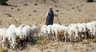 BEYİN KANAMASI GEÇİRİNCE 'YAŞAYAMAZ' DEDİLER, İŞKUR DESTEĞİYLE HAYATA TUTUNDU