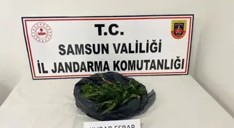 Samsun'da 540 gram kubar esrar ele geçirildi