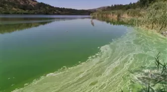 Son dakika haberi... Eymir Gölü de kirlendi