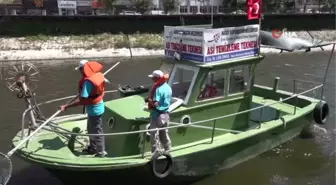 Asi Nehri'ndeki katı atık ve su sümbülleri temizleniyor