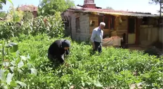 Yaşlı adamı dolandıran şüpheli tutuklandı