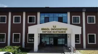 Hayvan hastanesi, bölgedeki besicilere ve hayvanlara derman olacak