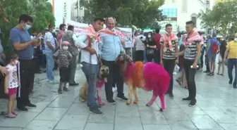 'Sudan koyun geçirme' etkinliği öncesinde kortej düzenlendi