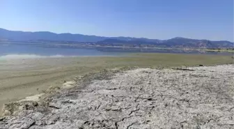 Son dakika... BURDUR GÖLÜ'NDE ALG PATLAMASI