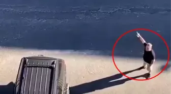 'Daire 16'nın sokak köpeği isyanı! Sosyal medyada gündem olan videoya 'Parti kur oy verelim' yorumları yapılıyor