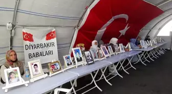 Evlat nöbetindeki anne: 'Siyaset yapmaya değil, oğlumu almaya geldim'