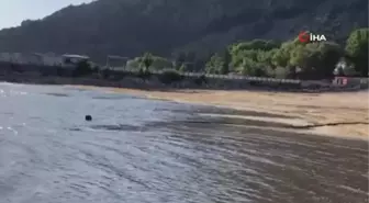 Son dakika haber | Dr. Erol Kesici: 'Eğirdir Gölü'nde su seviye kaybı 50 metreyi aştı, çok şiddetli kuruma tehlikesi var'