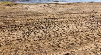 Eğirdir Gölü'nde su çekilmesi 50 metreyi aştı, iskeleler havada kaldı