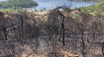 HEYBELİADA'DA SOĞUTMA ÇALIŞMALARI DEVAM EDİYOR