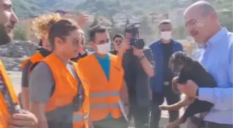 Son dakika haberi: KASTAMONU - Bakan Soylu, Kastamonu'daki sel felaketinin ardından kurtarılan köpeğe 'Bozkurt' adını verdi