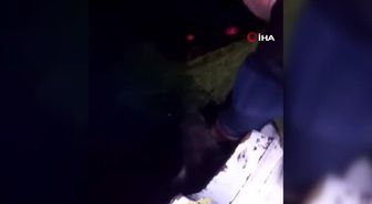 Trabzonlu balıkçının köpekbalığıyla gülümseten diyaloğu