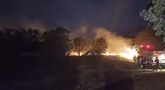 Son dakika haberleri... 4 farklı noktada çıkan yangınlar söndürüldü