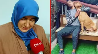 Yüzerken pitbull saldırısına uğrayıp can veren gencin acılı annesi isyan etti: Ciğerparem pisi pisine gitti