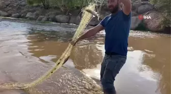 Murat Nehri'nde gün batımında balık avı