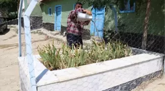 Son Dakika | 100 yıldır Sakarya şehitleriyle birlikte yaşıyorlar