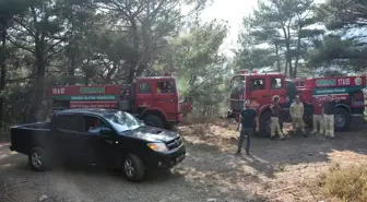 Son dakika haberleri! Kazdağları'ndaki yangın bölgesinde soğutma çalışmaları devam ediyor