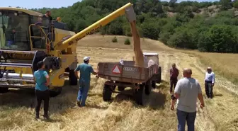 Kütahya'da yerli ve milli tohum seferberliği