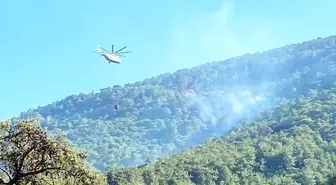 Milas orman yangını kontrol altında