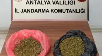 Korkuteli ilçesinde 160 gram uyuşturucu ele geçirildi