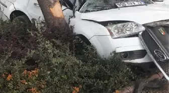 Otomobil, refüjdeki ağaca çarptı; sözleşmeli er hayatını kaybetti