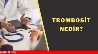 Trombosit nedir? Trombosit görevleri nedir? Trombosit ne işe yarar?