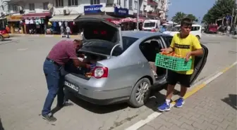 KASTAMONU - Ormandan topladığı mantarı afet mağduru öğrenciler için satıyor