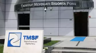 TMSF, Aynes Gıda'yı satışa çıkardı