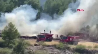 YANGIN ORMANA ULAŞMADAN SÖNDÜRÜLDÜ