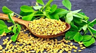 ÇEMEN İÇİN FİZİBİLİTE RAPORU VE YATIRIMCI REHBERİ HAZIRLANDI