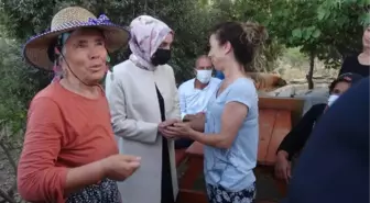 AK Partili Leyla Şahin Usta, yangında zarar gören alanlarda incelemede bulundu