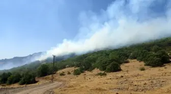 Son dakika haberi... Bingöl'deki orman yangına 100 kişilik ekip müdahale ediyor