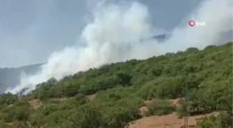 Son dakika haberleri! Bingöl'deki orman yangını devam ediyor