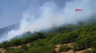 KÖYÜN BAŞKA BÖLGESİNDE ORMAN YANGINI ÇIKTI