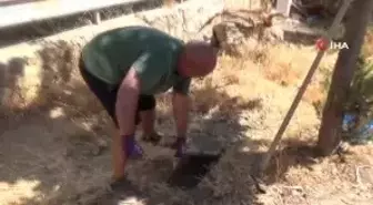 Mahalleli zehirlenen canlar için ayağa kalktı