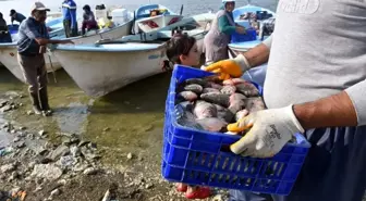 Çayırhan Gölü'nde balıkçılar 'Vira Bismillah' dedi