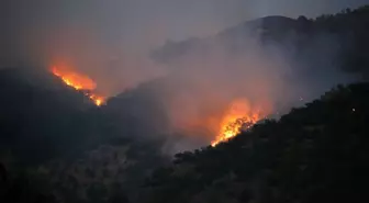 Son dakika... Munzur Vadisindeki yangına havadan ve karadan müdahale sürüyor