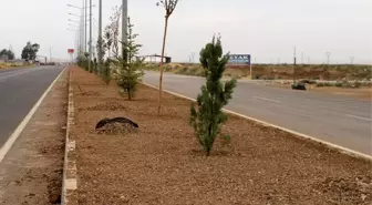 Yaya ve Araç Güvenliği için orta refüj etrafını panel çit ile kapatıyoruz