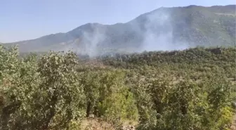 Elazığ'daki örtü yangını kontrol altında