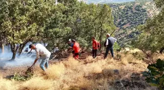 Son dakika... SAR, Bingöl'deki yangınlarda ekiplere destek verdi