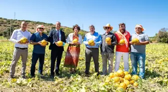 Tadı, dayanıklılığı, aromasıyla meşhur Çeşme kavunu tescillendi