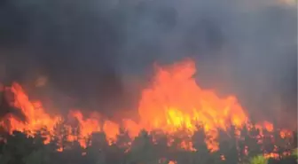 Uzmanından orman yangıları için 'risk haritası çıkarılsın' önerisi