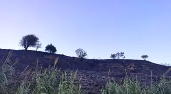 Son dakika haberi | Samandağ'da bahçe yangını