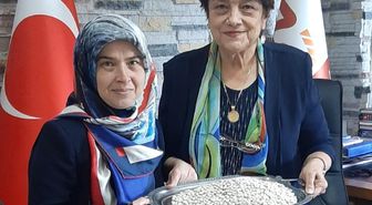 ERKADIN'dan DSİ'ye ve toptancı esnafına açık mektup