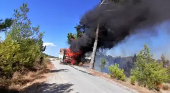 Tomruk yüklü kamyon yandı