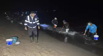 Bartın'da balıklar sahile vurdu