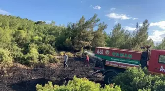 Son dakika haberleri: İzmir'de makilik yangını (4)