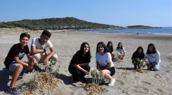 ÖĞRENCİLER, İLK KEZ GÖRDÜKLERİ KUM ZAMBAKLARININ KORUNMASINI İSTEDİ