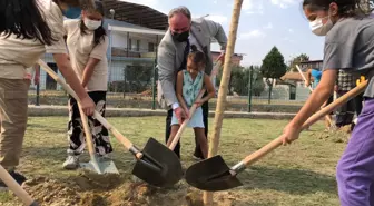 Germencik'e 7 bin dut fidanı dikilecek