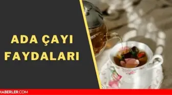 Ada çayı faydaları nelerdir? Ada çayı ne işe yarar? Ada çayının zararı var mı? Adaçayı tansiyon yükseltir mi? Adaçayı zayıflatır mı?